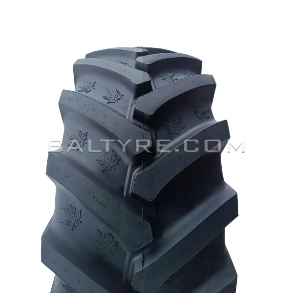 650/65R38 Tianli Forest Leader LS (ST) 171B/168A8 TL TIANLI TIANLI