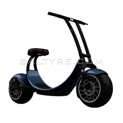 AS ONE+ COBALT 1200Wh 1,2KW