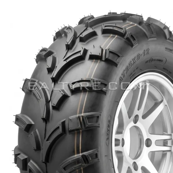 WA AT24x8,00-12 P373 39K 6PR TL WANDA WANDA